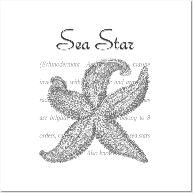 Lispe Sea Star Definition Wall Art by Lispe